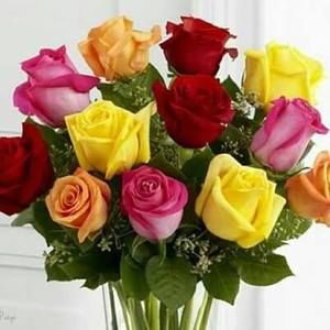 Meet your Posher, Bhavna